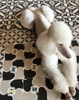 Đá hắc thạch SỐNG ĐỘNG 8" THÂN THIỆN VỚI NGÂN SÁCH